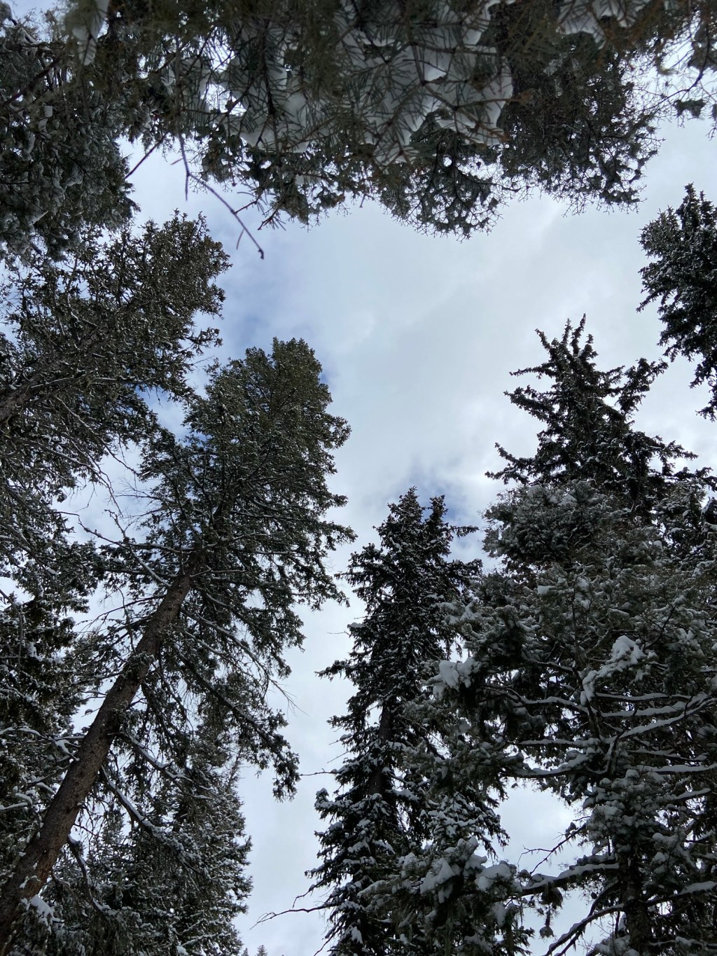 I’m Still Young: A Reminder I Needed More Than I&nbsp;Realized