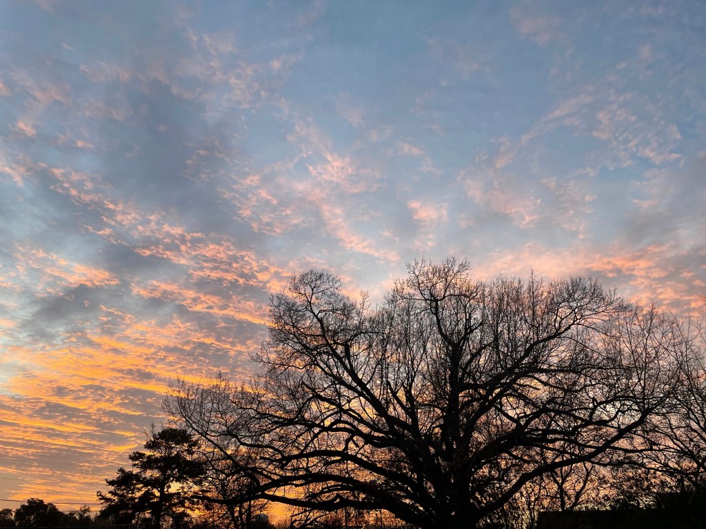 January just feels like&nbsp;hope.